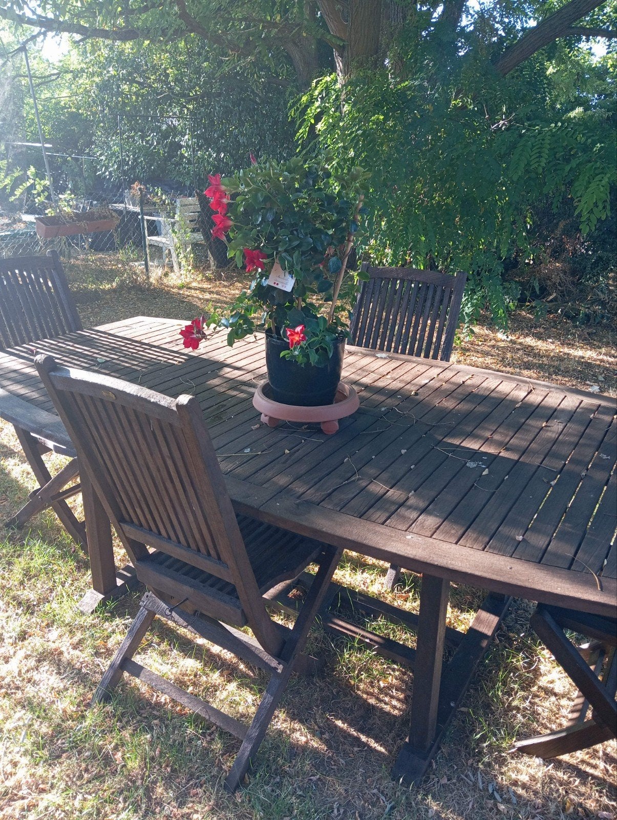 table xxl en teck massif de marque av 4 chaises