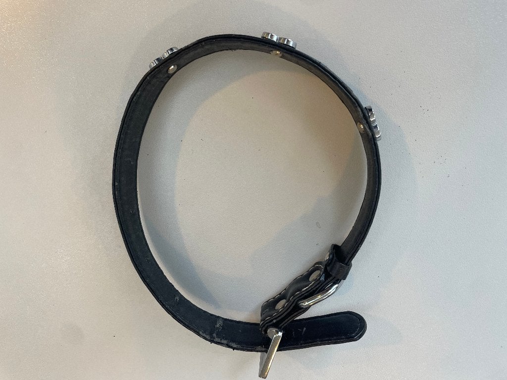 Collier pour chien argenté avec strass + noir gratuit, Enlèvement, Laisse pour chien