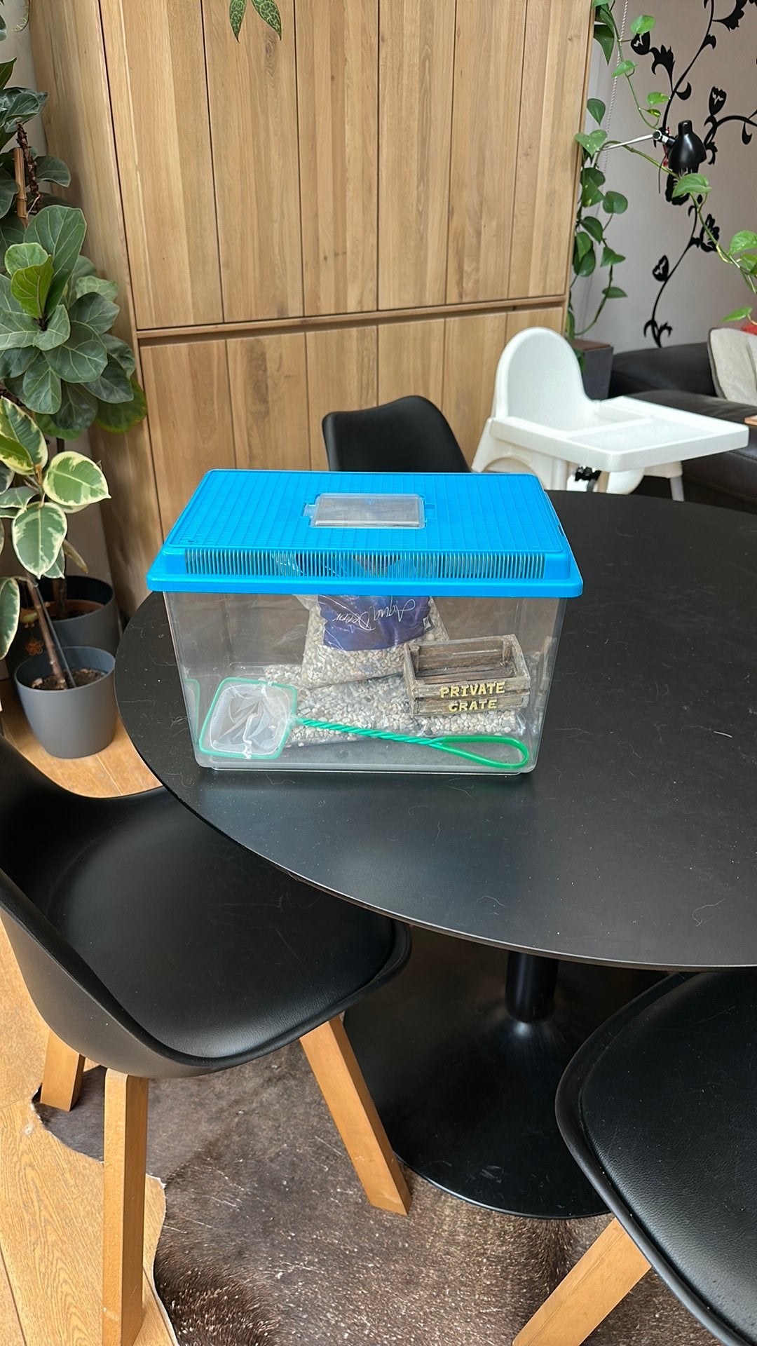 Aquarium in plastic, Animaux & Accessoires, Poissons | Aquariums & Accessoires, Enlèvement, Comme neuf
