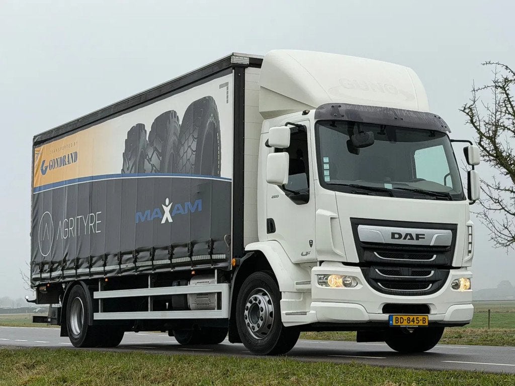 DAF LF 260 (année de construction 2018), Achat, Euro 6, 264 ch, Diesel