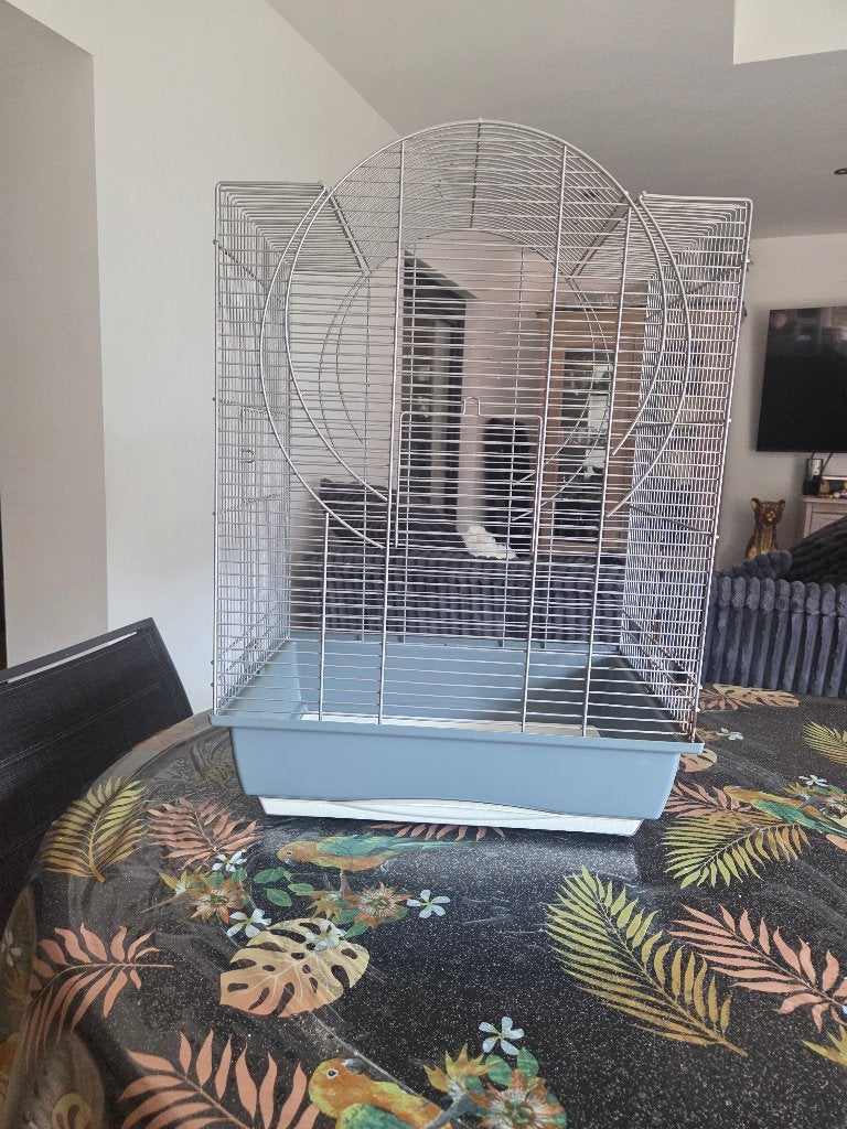 Cage à oiseau, Enlèvement, Utilisé