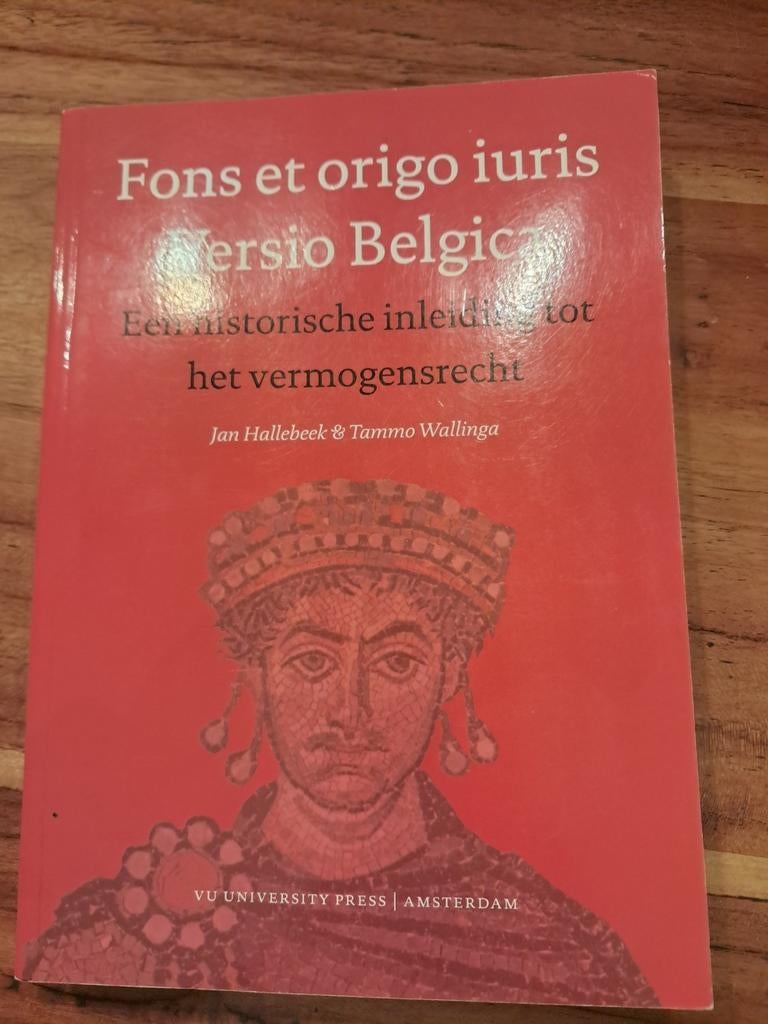 Tammo Wallinga - Fons et origo iuris Versio Belgica, Enlèvement ou Envoi, Comme neuf, Tammo Wallinga; Jan Hallebeek