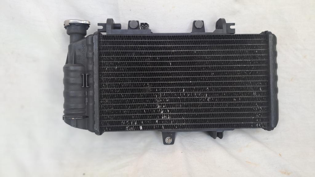 BMW F 800 S radiator, Ophalen of Verzenden