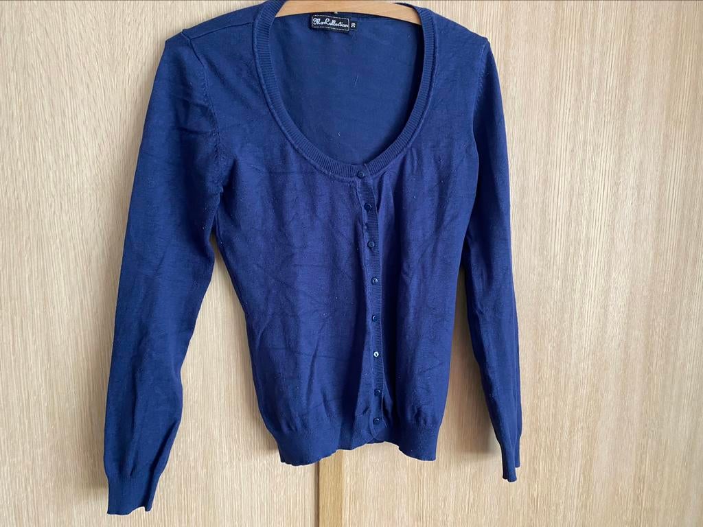 Blauwe cardigan/gilet Maat 38, Kleding | Dames, Truien en Vesten, Zo goed als nieuw, Maat 38/40 (M), Blauw, Ophalen of Verzenden