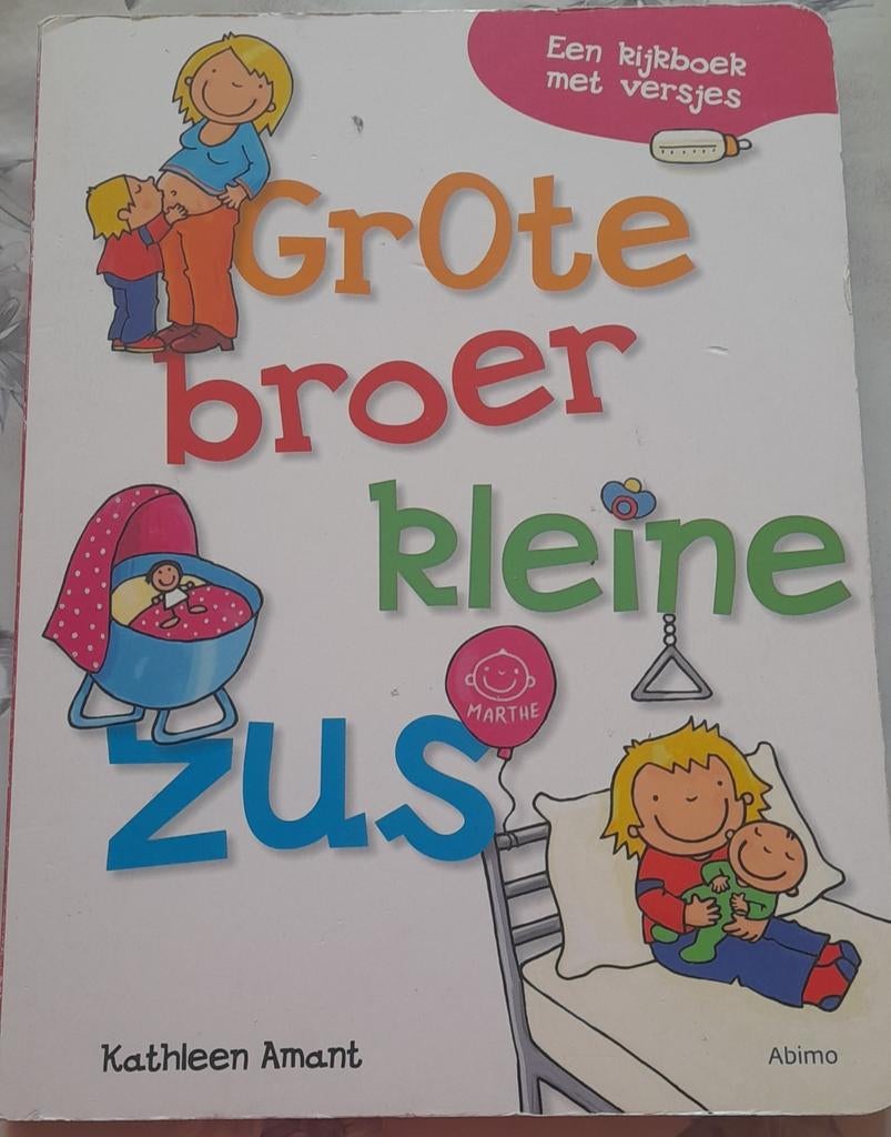Boek grote broer kleine zus, Boeken, Ophalen of Verzenden, Zo goed als nieuw