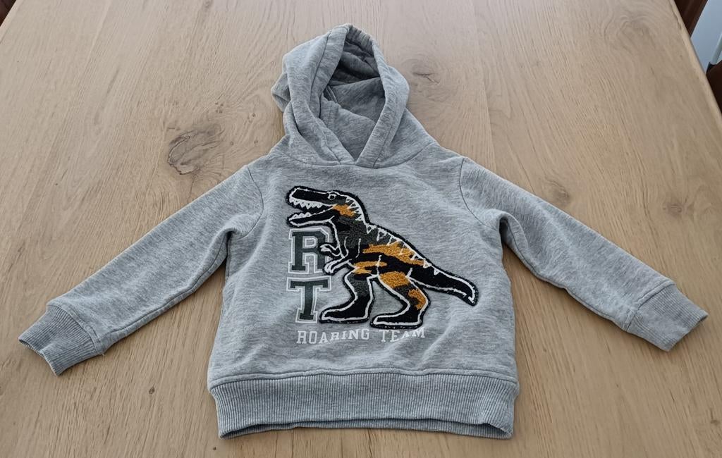 C&A hoodie grijs dino maat 92, Ophalen of Verzenden, Zo goed als nieuw
