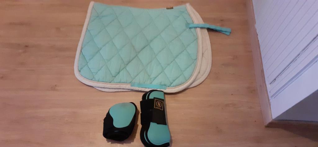 Ensemble cheval BR bleu clair, Animaux & Accessoires, Enlèvement ou Envoi, Comme neuf