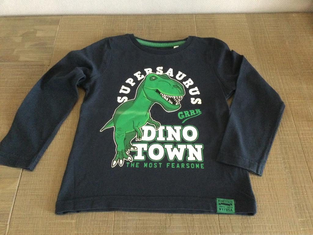 Leuke longsleeve met dino maat 98, C&A, Ophalen of Verzenden, Zo goed als nieuw, Shirt of Longsleeve