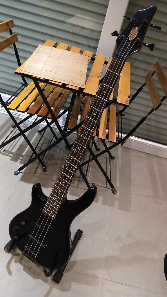 zeer elegante linkshandige basgitaar, Muziek en Instrumenten, Ophalen