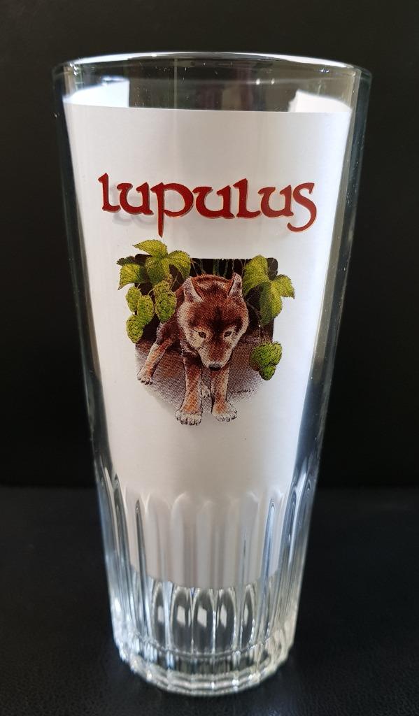 Verre LUPULUS 25cl M20, Enlèvement ou Envoi, Neuf, Verre à bière