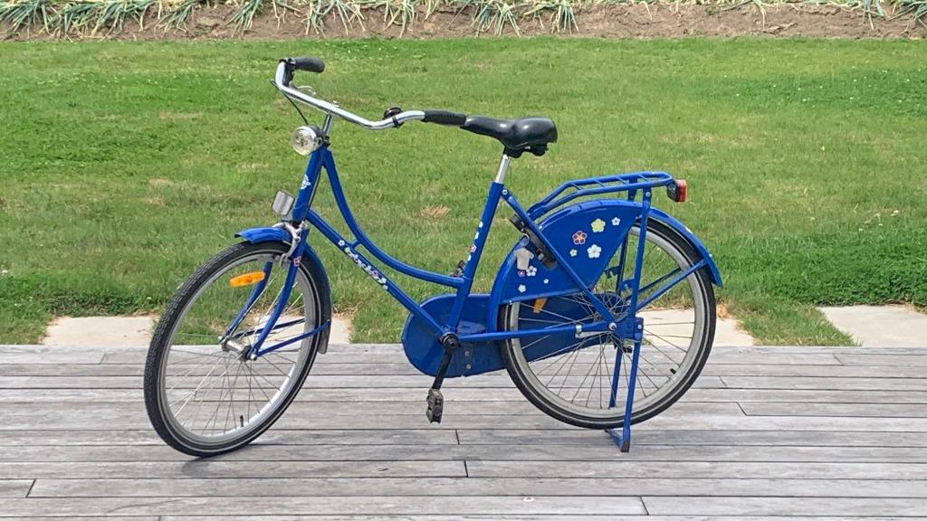 Vélo pour enfants, Enlèvement, Utilisé, 20 pouces ou plus