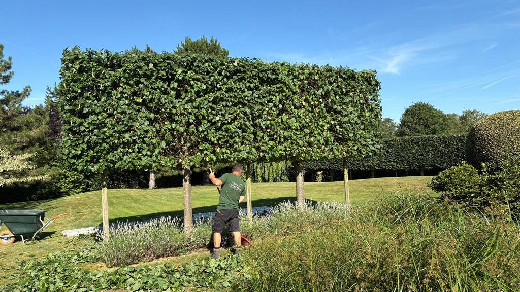 Tuinaanleg - Tuinonderhoud- Boomverzorging, Tuin en Terras, Overige Tuin en Terras, Nieuw, Ophalen
