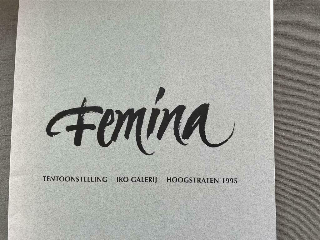 Iko Hoogstraten - Femina - tentoonstelling kalligrafie 1995, Boeken, Ophalen, Zo goed als nieuw