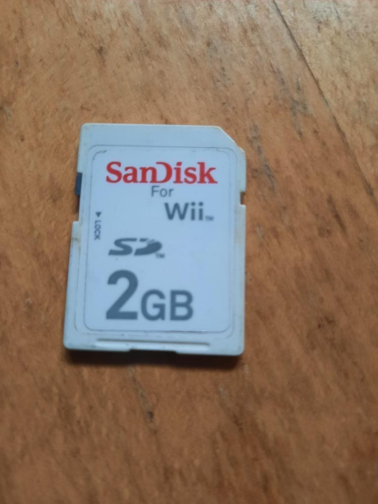 Sandisk for Wii 2GB, Enlèvement ou Envoi, 2 joueurs, À partir de 18 ans, Autres genres