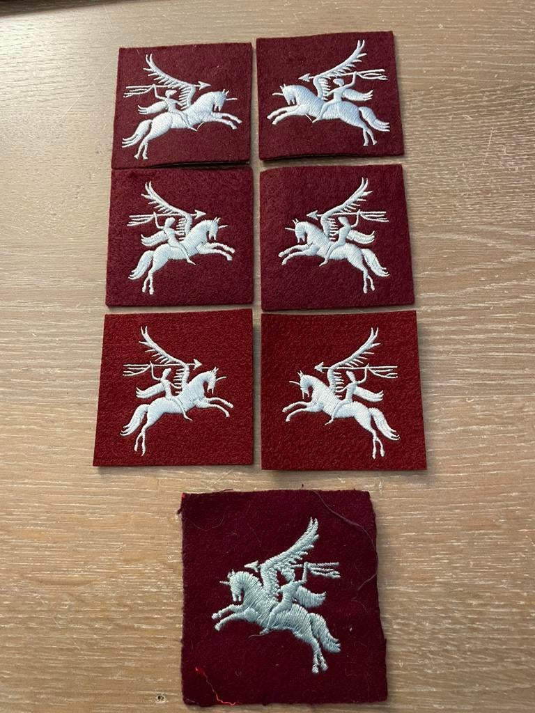 Para pegassusen voor op SD, Verzamelen, Militaria | Algemeen, Verzenden, Landmacht, Embleem of Badge