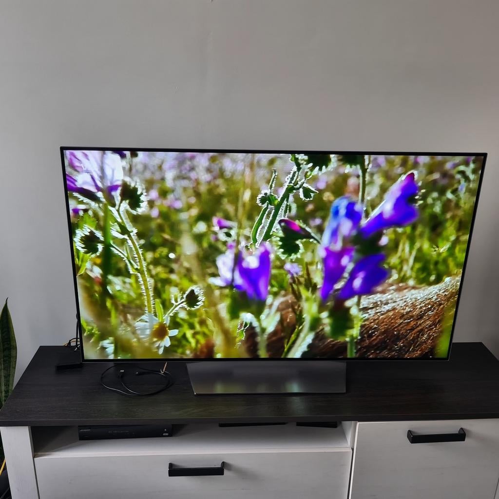 LG OLED 55 pouces, TV, Hi-fi & Vidéo, Télévisions, Enlèvement, Comme neuf, OLED, LG