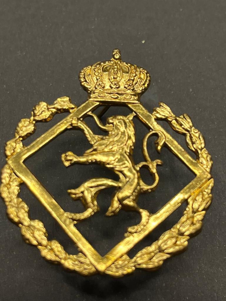 Militaria, Verzamelen, Ophalen of Verzenden, Landmacht, Overige typen