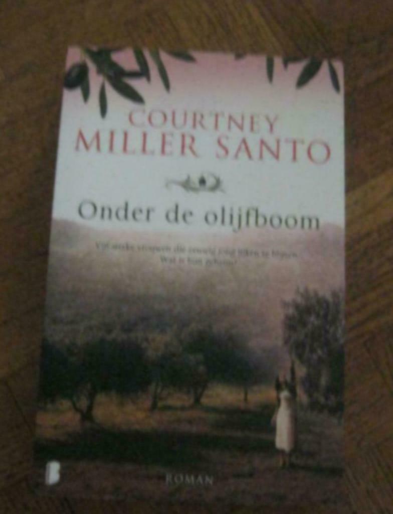 Courtney Miller Santo: Onder de olijfboom, Livres, Romans, Utilisé, Enlèvement ou Envoi