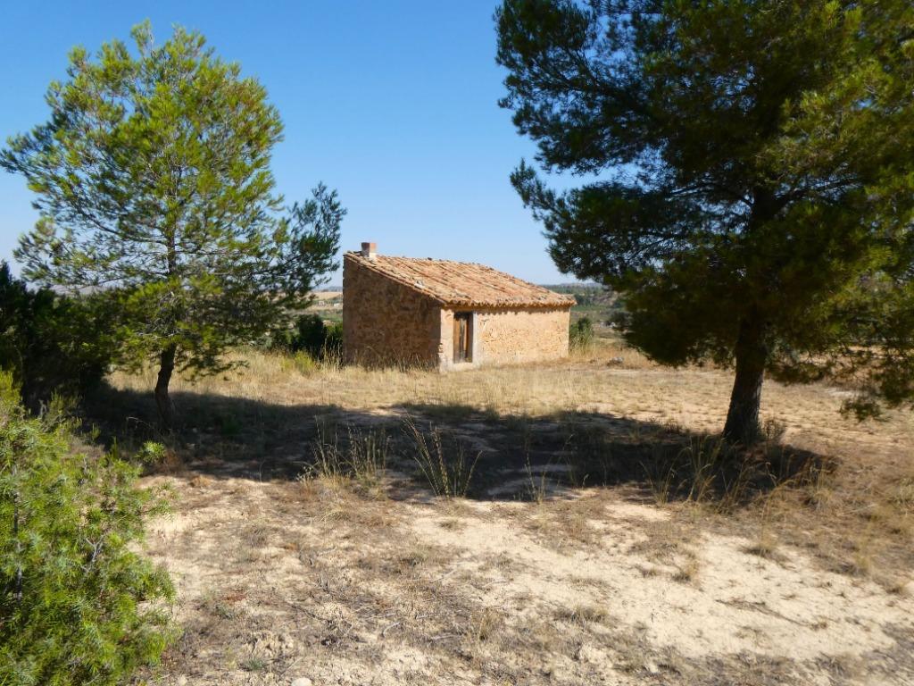 Finca in Maella (Aragon, Espagne) - 1074, Immo, Étranger, Espagne, Autres types, Campagne