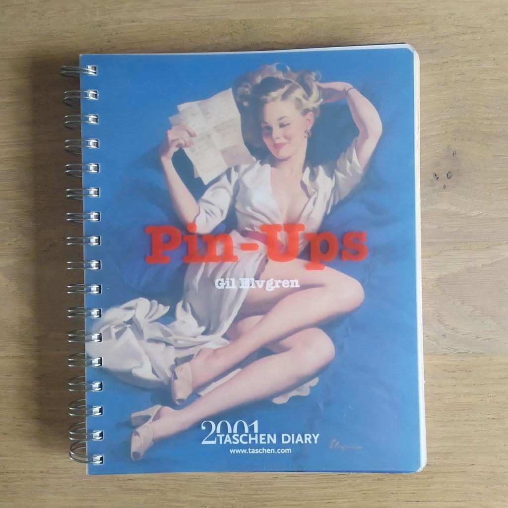 Pin-Ups Gil Elvgren 2001 Taschen Diary TBE, Ophalen of Verzenden, Zo goed als nieuw, Schilder- en Tekenkunst