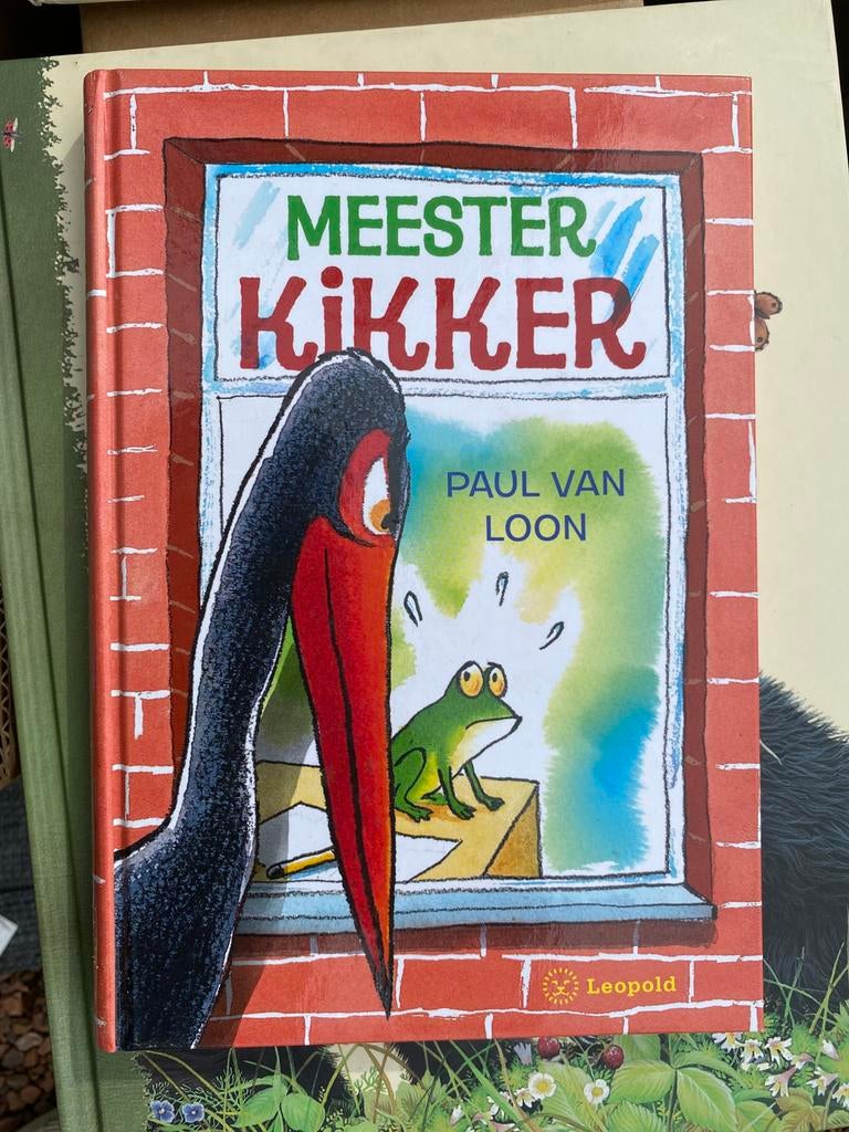 Meester kikker boek en/of dvd, Ophalen, Zo goed als nieuw