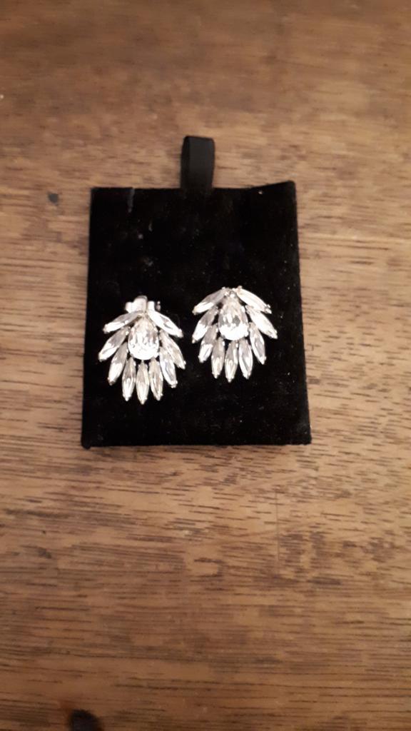 Boucles d'oreilles en argent en forme de grandes feuilles, Enlèvement ou Envoi, Neuf, Argent, Avec pierre précieuse