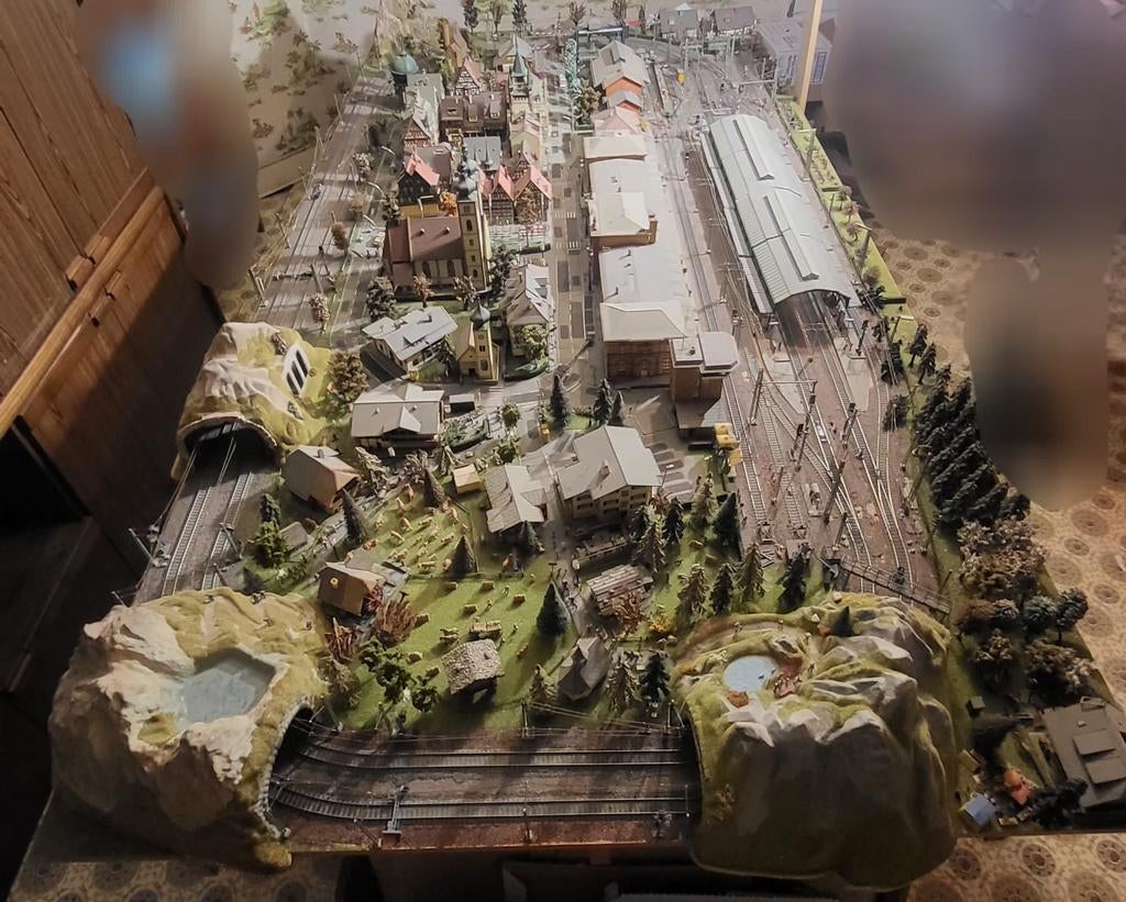 Gedetailleerd compleet modeltreinnetwerk met landschap/demon, Ophalen, Gebruikt