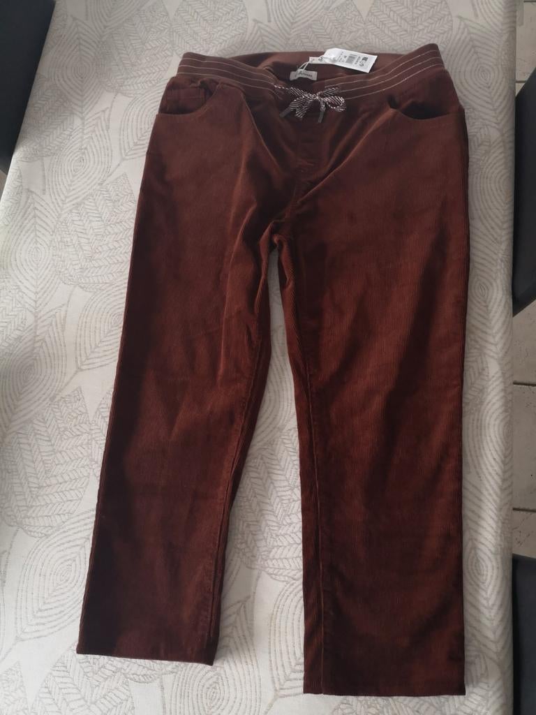 Pantalon en velours  48, Neuf, Taille 46/48 (XL) ou plus grande, Enlèvement ou Envoi, Brun