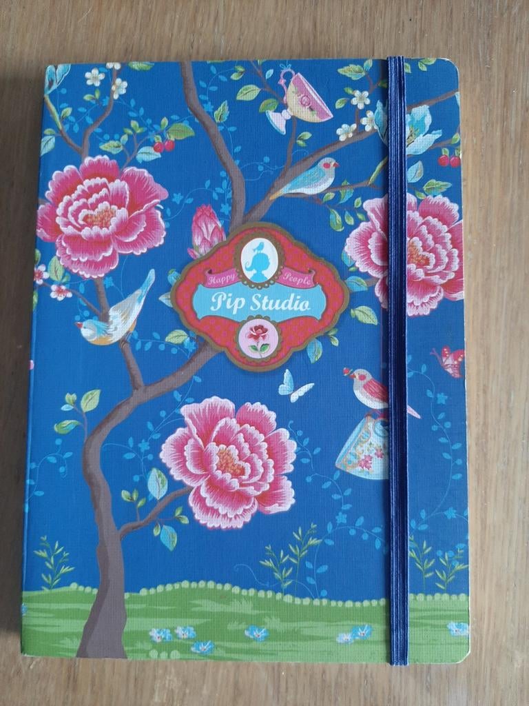 Carnet Pip Studio avec bande élastique, Enlèvement ou Envoi