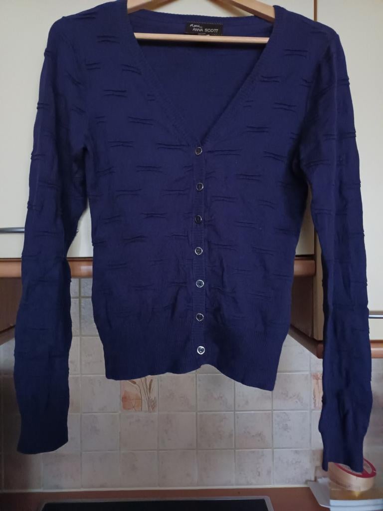 Volledig nieuwe cardigan  "ANNA SCOTT", Ophalen of Verzenden, Nieuw