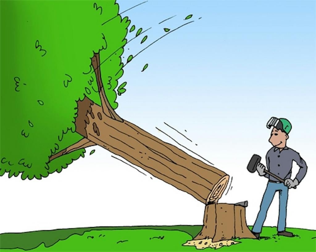 vellen van bomen en/of verwijderen van wortels, Ophalen