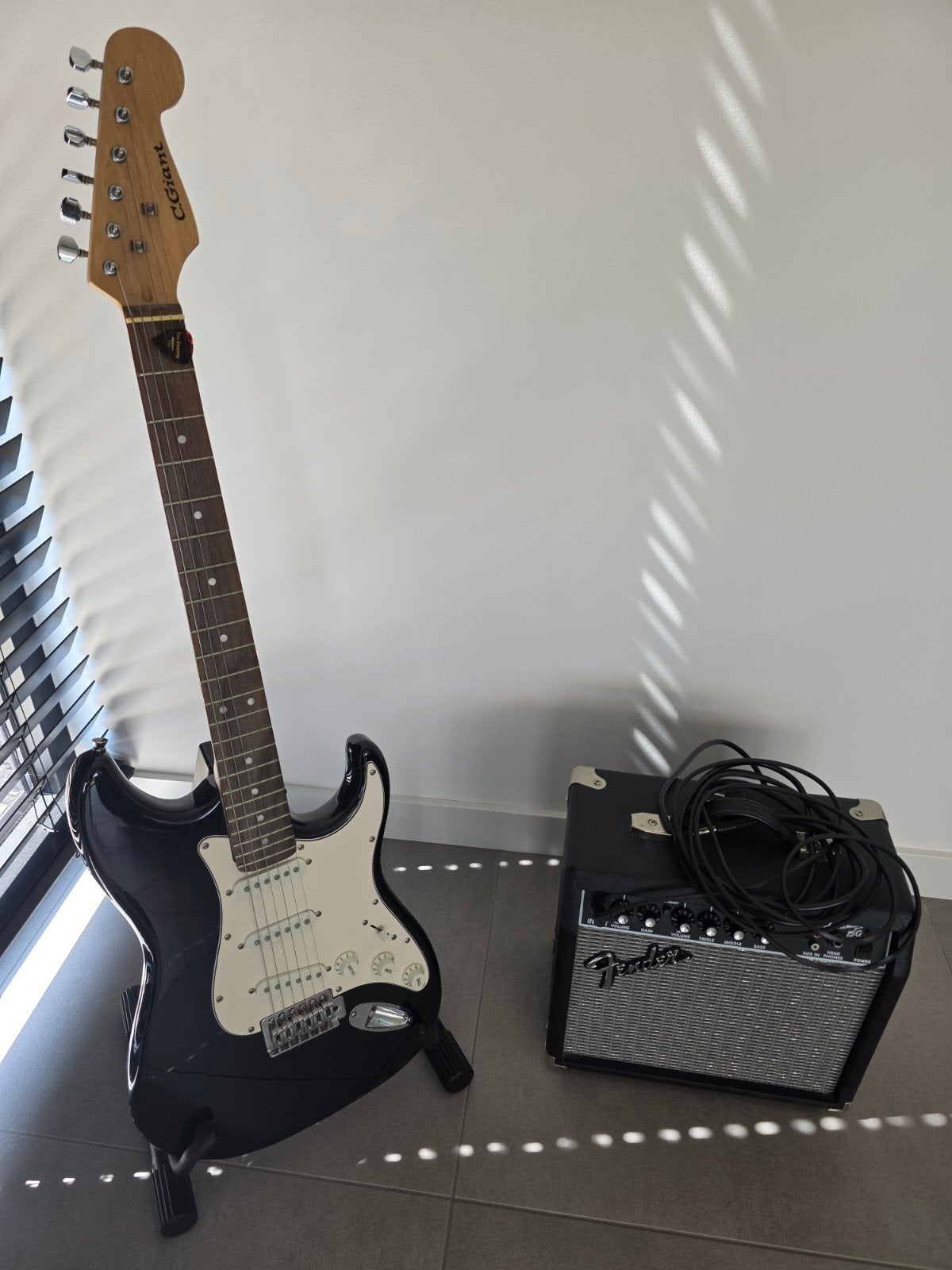Gitaar C. Giant met Fender versterker, Musique & Instruments, Instruments à corde | Guitares | Électriques, Enlèvement, Fender