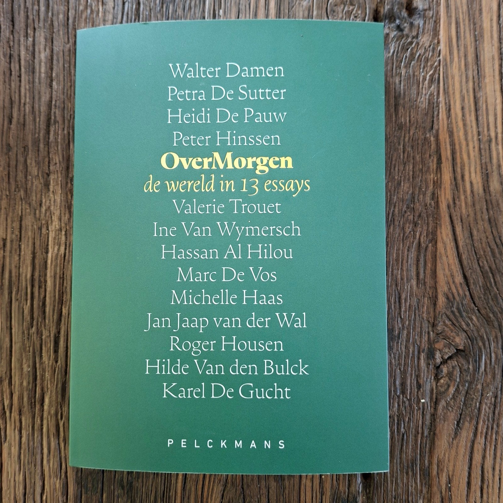 OverMorgen de wereld in 13 essays Walter Damen, Livres, Essais, Chroniques & Interviews, Enlèvement ou Envoi