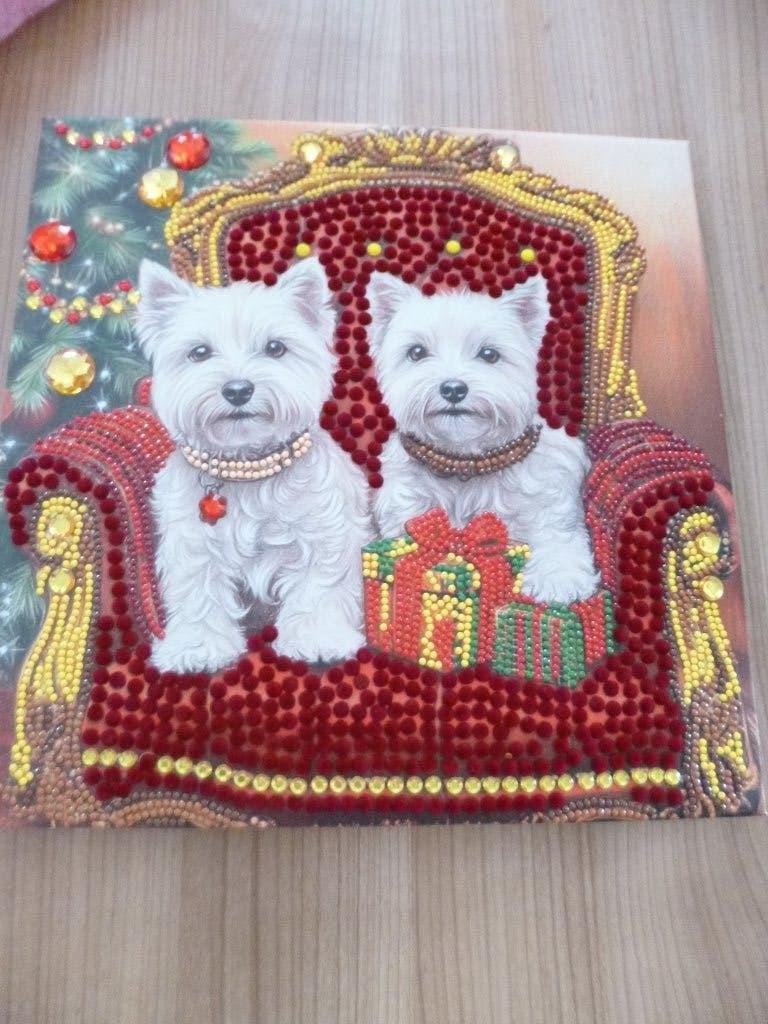 Diamond painting gemaakt, Ophalen of Verzenden, Diamond painting