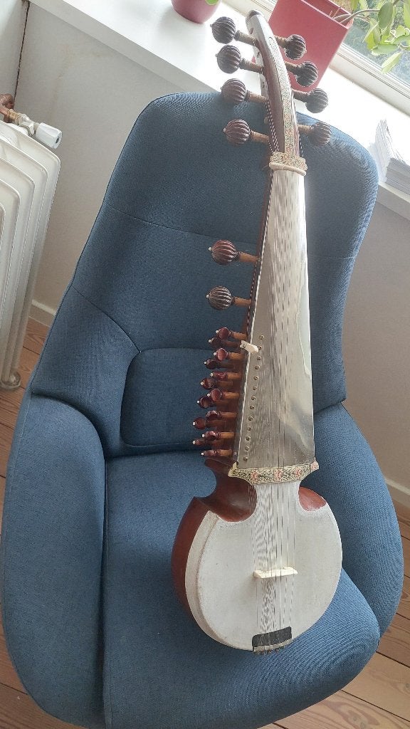 Indische sarod, Muziek en Instrumenten, Ophalen, Nieuw, Overige typen