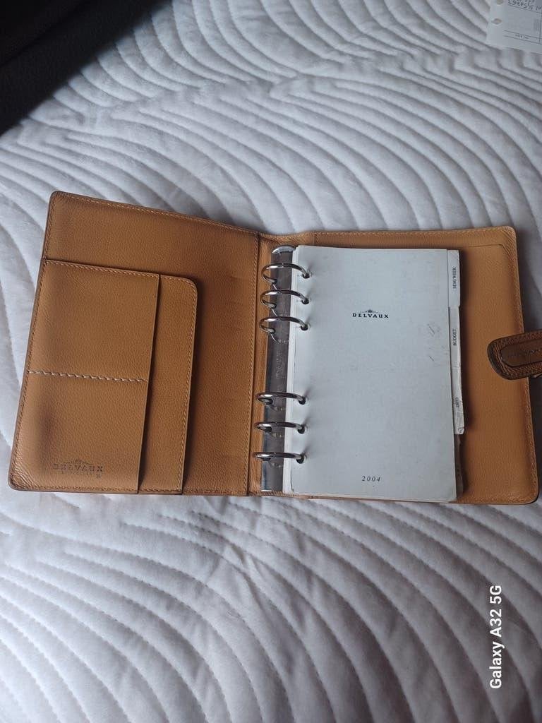 DELVAUX Agenda MODULA GM Houblon siglé, Verzenden