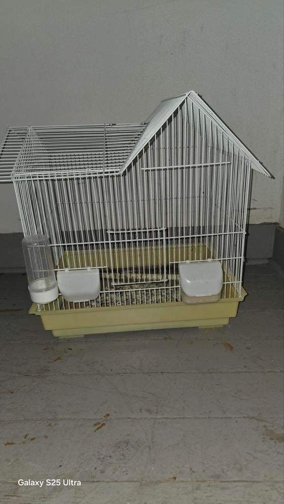 C'EST UN ENDROIT IDÉAL POUR PASSER UN RÉVEILLON DU NOUVEL AN, Enlèvement