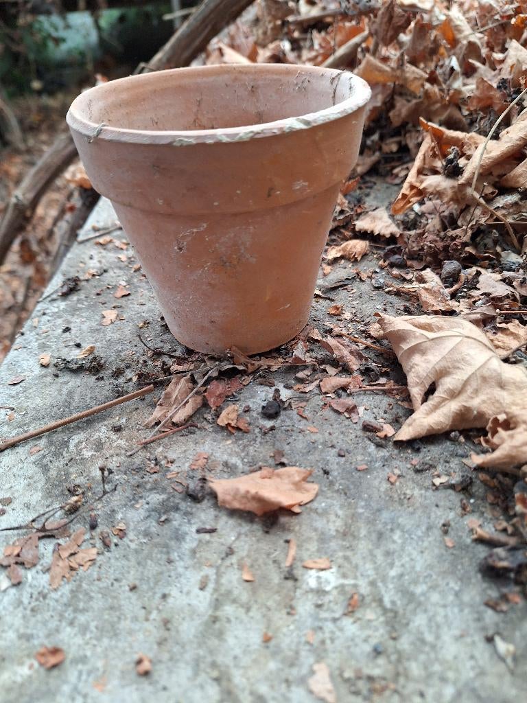 terra cotta potjes, Tuin en Terras, Ophalen, Gebruikt