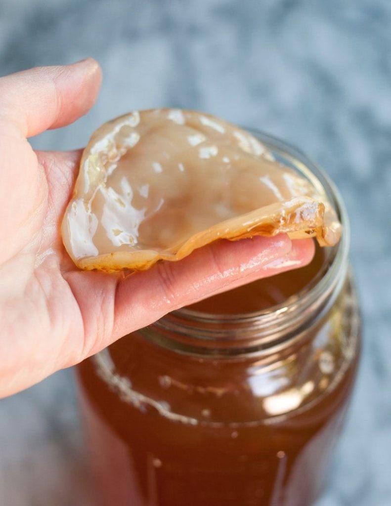 SCOBY kombucha, Enlèvement