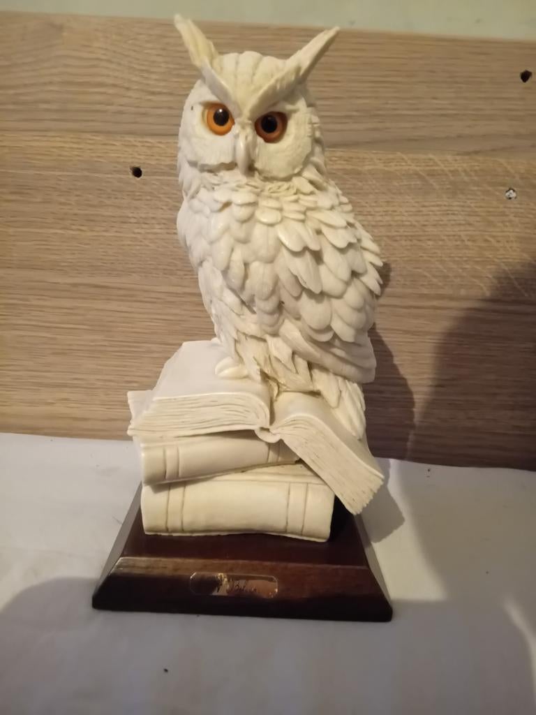 Sneeuwuil op boeken, Antiek en Kunst, Ophalen of Verzenden