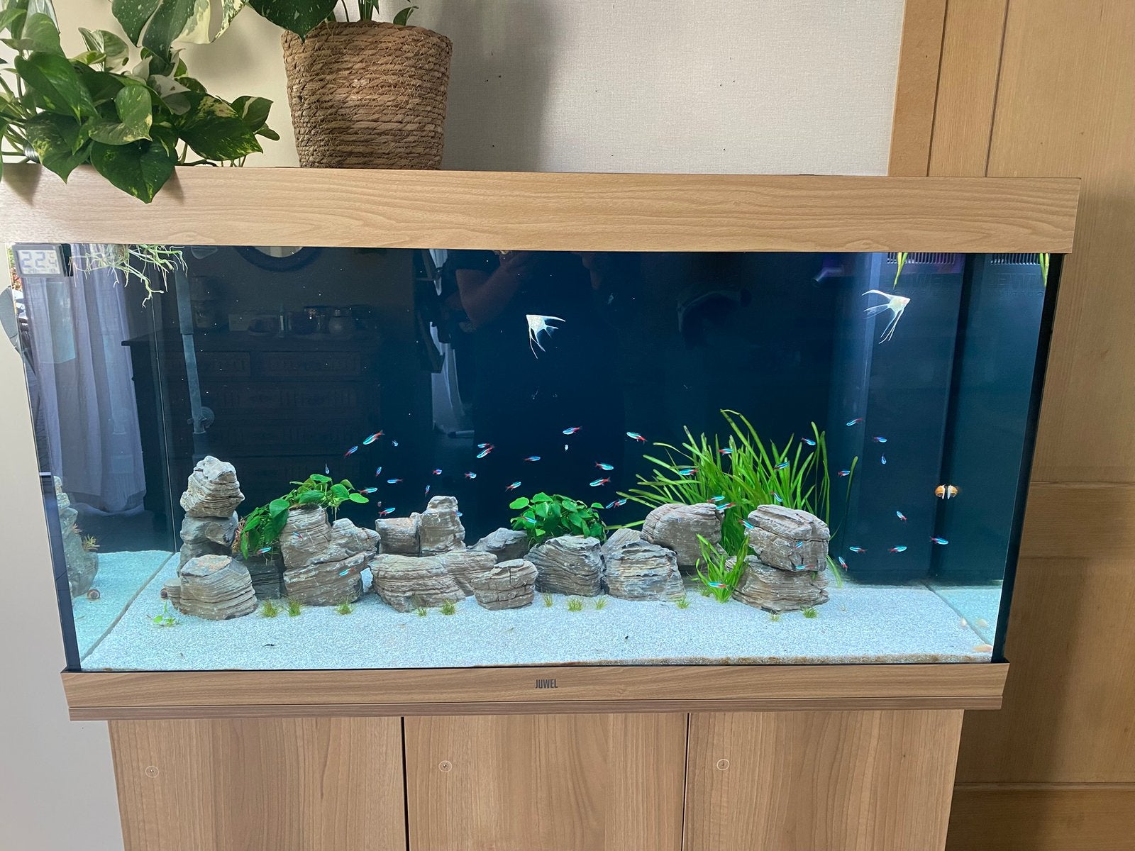 Juwel rio 350 l - chihiros wrgb lamp ! 2 filters en inhoud, Ophalen, Zo goed als nieuw, Filter, Chihiros