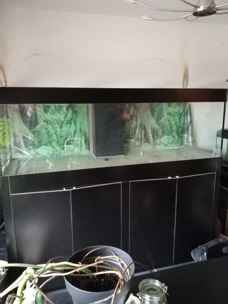 Grand aquarium, Animaux & Accessoires, Enlèvement, Accessoires inclus, Utilisé, Aquarium vide