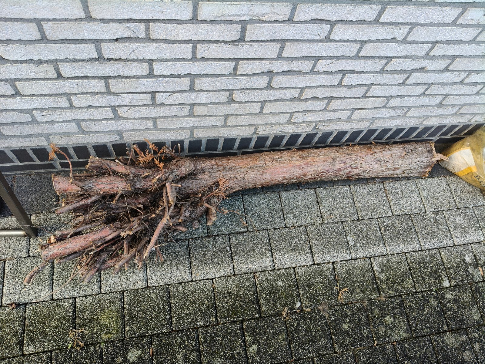 Gratis stam conifeer doorsnee ong. 15 cm, Tuin en Terras, Ophalen, Overige houtsoorten