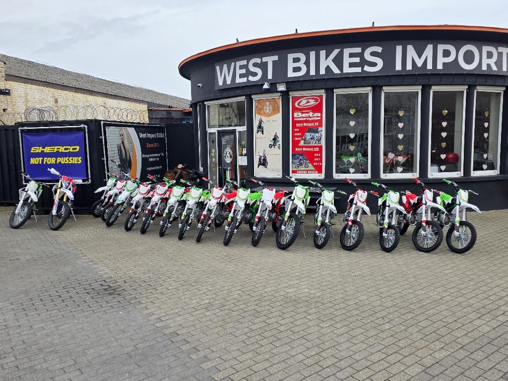 Apollo Thunder Pitbikes | 125 cc | Bespaar tot 300 euro, Apollo, Nieuw, Pitbike, Schijfrem
