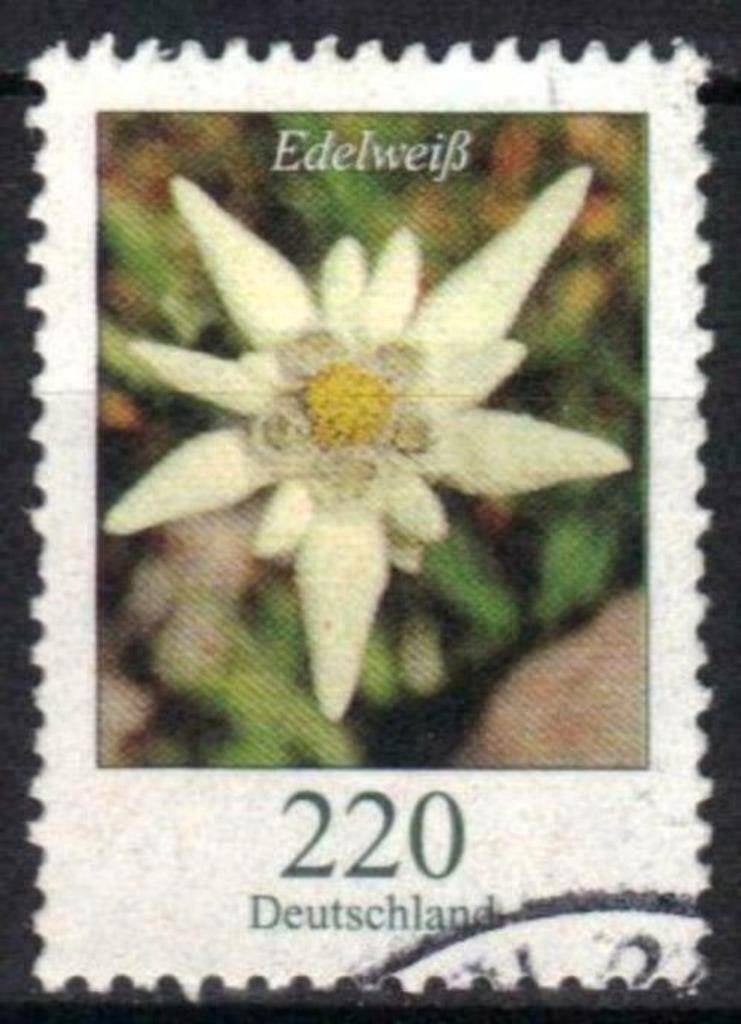 Allemagne 2006 - Yvert 2353 - Série en cours - Flowers (ST), Timbres & Monnaies, Timbres | Europe | Allemagne, Envoi, Affranchi