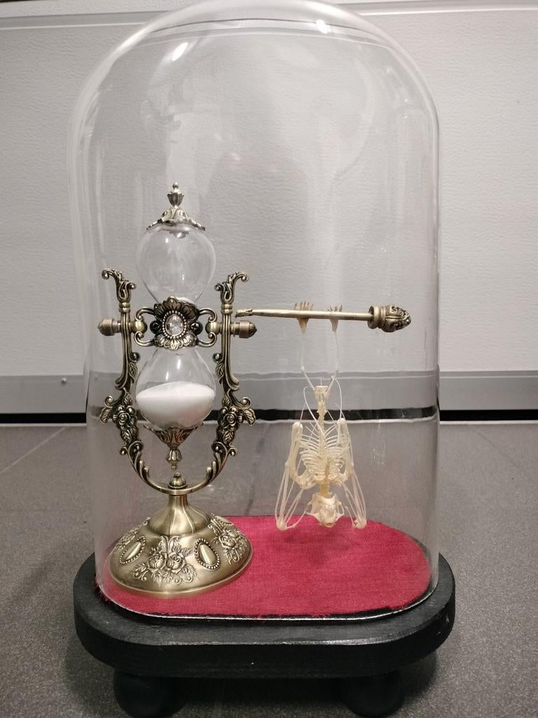 Vleermuis skelet in stolp met zandloper, Ophalen