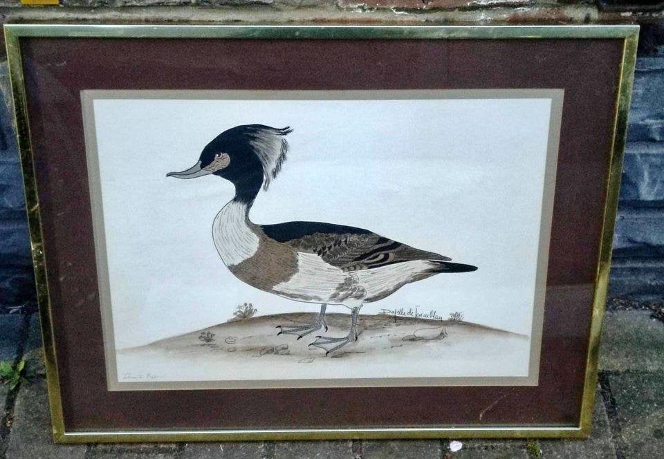 Dessin oiseaux signe monbaly dayelle de ferronblan, Antiquités & Art, Enlèvement ou Envoi, Dessin