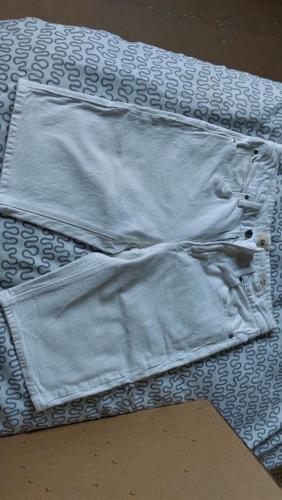 Short heren. Nieuw. W32. Afhalen zemst., Vêtements | Hommes, Jeans, Enlèvement, Neuf, Blanc, W32 (confection 46) ou plus petit