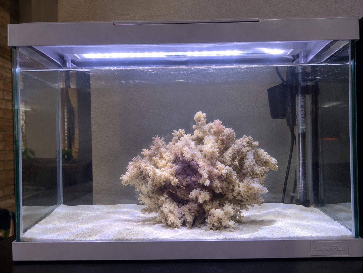 Aquarium 35L  (verlichting + verwarming + adapter) net nieuw, Ophalen, Verlichting of Verwarming, Zo goed als nieuw, Verwarming