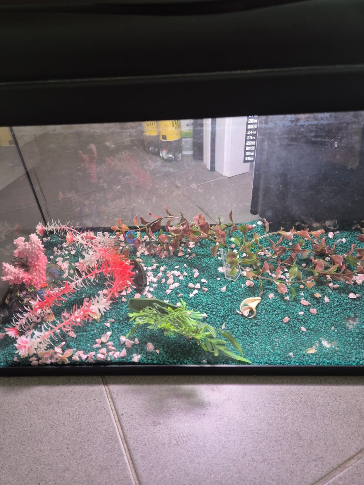 aquarium, Enlèvement, Comme neuf